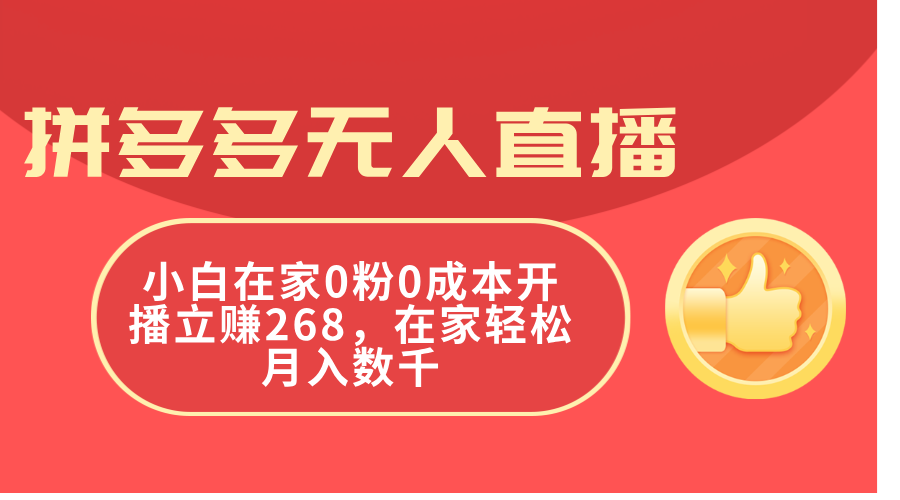 （11521期）拼多多无人直播，小白在家0粉0成本开播立赚268，在家轻松月入数千-九天资源站