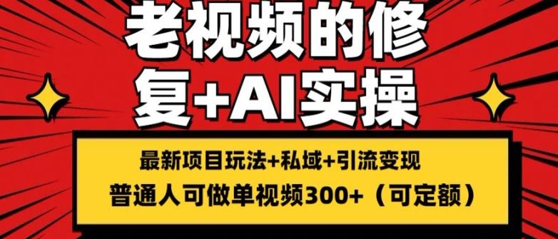 修复老视频的玩法，搬砖+引流的变现(可持久)，单条收益300+【揭秘】-九天资源站