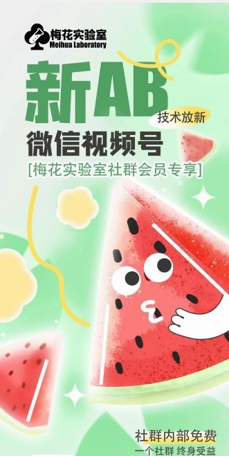 梅花实验室2024年AB技术视频号AB合成破解版-九天资源站