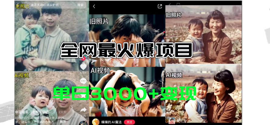 （11546期）全网爆火的AI让老照片动起来教程，蹭热点日赚3000+，内含免费工具一键…-九天资源站