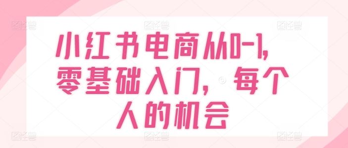 小红书电商从0-1，零基础入门，每个人的机会-九天资源站