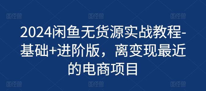 2024闲鱼无货源实战教程-基础+进阶版，离变现最近的电商项目-九天资源站