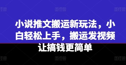 小说推文搬运新玩法，小白轻松上手，搬运发视频让搞钱更简单-九天资源站