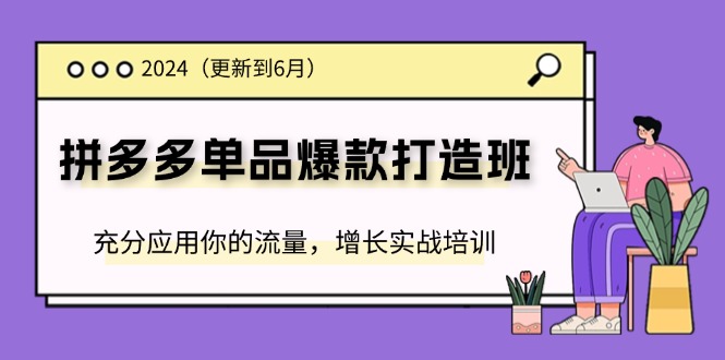 （11556期）2024拼多多-单品爆款打造班(更新6月)，充分应用你的流量，增长实战培训-九天资源站