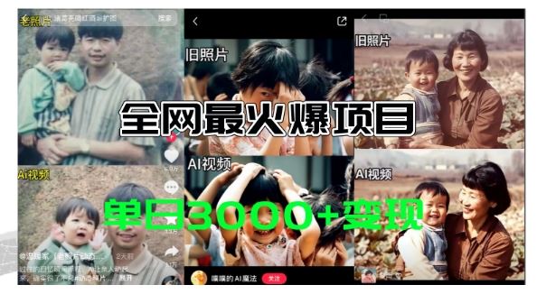 全网爆火的AI让老照片动起来教程，蹭热点日赚3k+，内含免费工具一键可生成【揭秘】-九天资源站