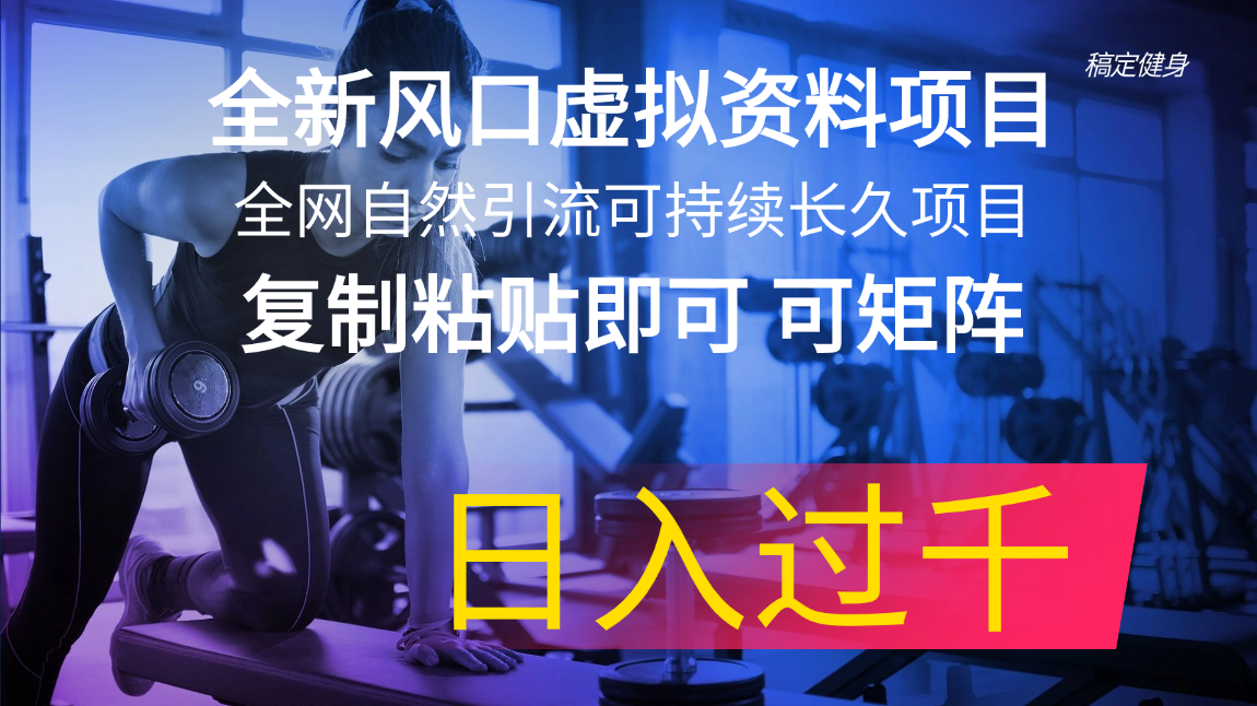 （11587期）全新风口虚拟资料项目 全网自然引流可持续长久项目 复制粘贴即可可矩阵…-九天资源站