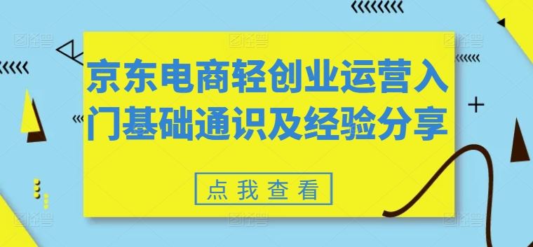 京东电商轻创业运营入门基础通识及经验分享-九天资源站