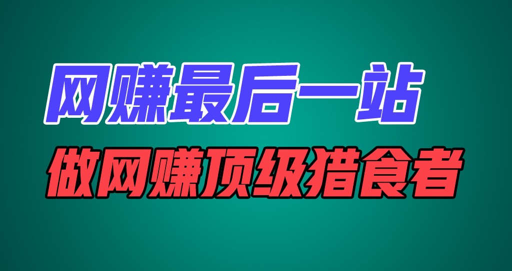 网赚最后一站，卖项目，做网赚顶级猎食者-九天资源站