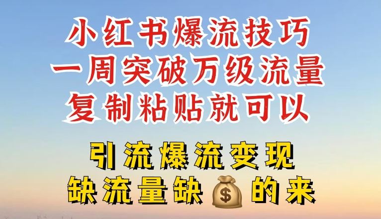 小红书爆流技巧，一周突破万级流量，复制粘贴就可以，引流爆流变现【揭秘】-九天资源站