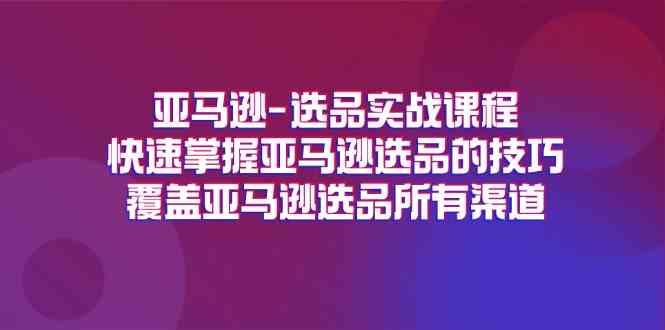 亚马逊选品实战课程，快速掌握亚马逊选品的技巧，覆盖亚马逊选品所有渠道-九天资源站