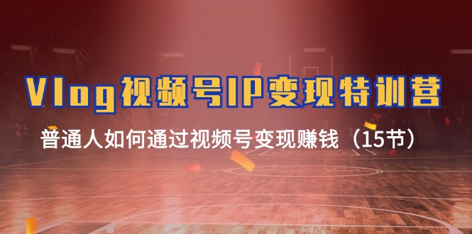 （11654期）Vlog 视频号IP变现特训营，普通人如何通过视频号变现赚钱（15节）-九天资源站