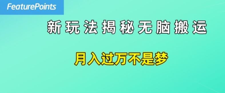 简单操作，每天50美元收入，搬运就是赚钱的秘诀【揭秘】-九天资源站