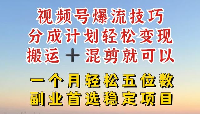 视频号爆流技巧，分成计划轻松变现，搬运 +混剪就可以，一个月轻松五位数稳定项目【揭秘】-九天资源站