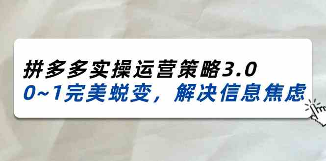 2024-2025拼多多实操运营策略3.0，0~1完美蜕变，解决信息焦虑（38节）-九天资源站