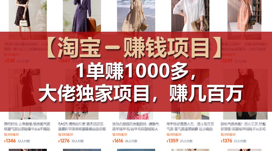 （11685期）【淘宝赚钱项目】1单可赚1000多，大佬独家项目，年赚几百万-九天资源站