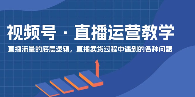 （11687期）视频号 直播运营教学：直播流量的底层逻辑，直播卖货过程中遇到的各种问题-九天资源站