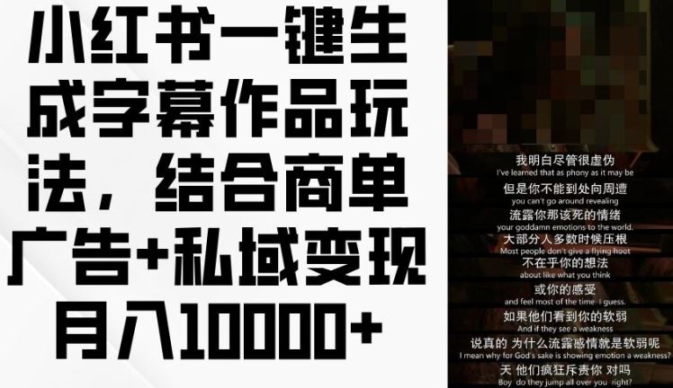 小红书一键生成字幕作品玩法，结合商单广告+私域变现月入1w+【揭秘】-九天资源站
