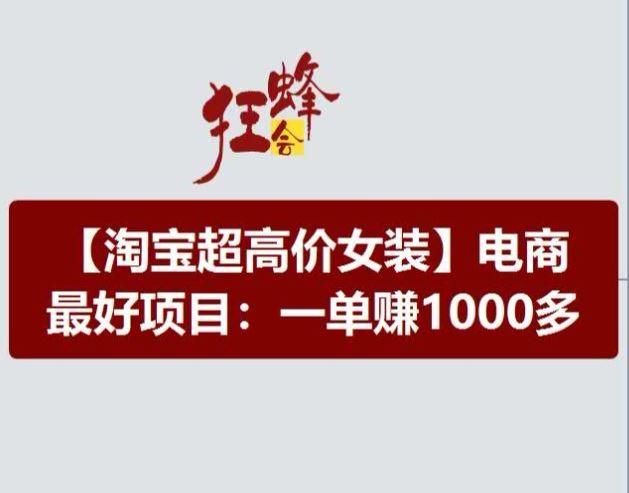 淘宝超高价女装项目，电商最好赛道，一单赚1000多-九天资源站