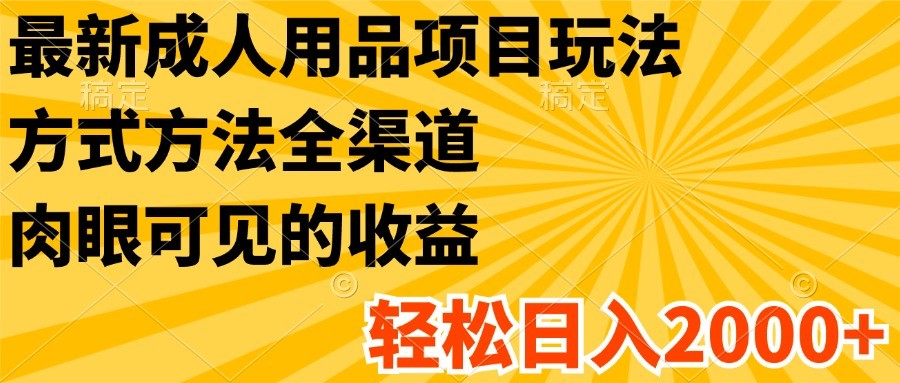 最新成人用品项目玩法，方式方法全渠道，肉眼可见的收益，轻松日入2000+-九天资源站