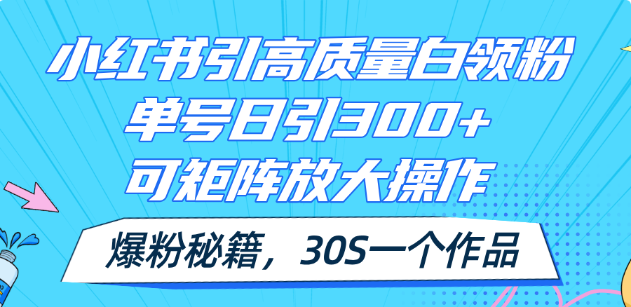 （11692期）小红书引高质量白领粉，单号日引300+，可放大操作，爆粉秘籍！30s一个作品-九天资源站