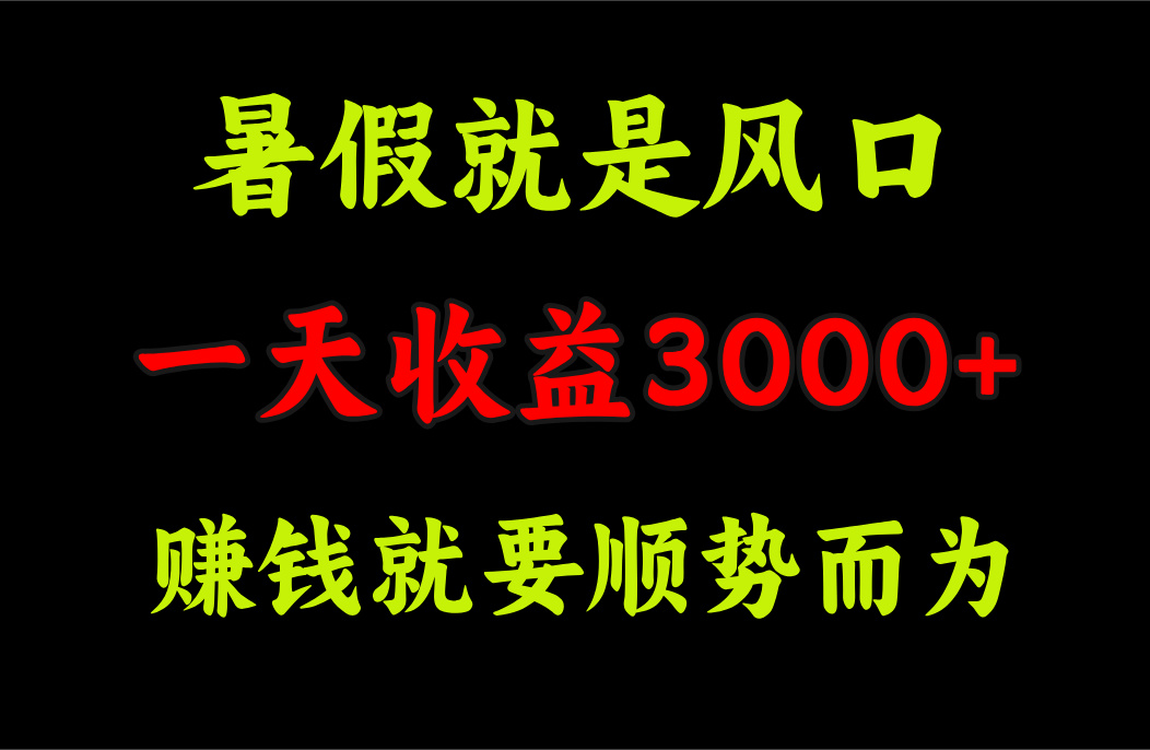 （11670期）一天收益3000+ 赚钱就是顺势而为，暑假就是风口-九天资源站