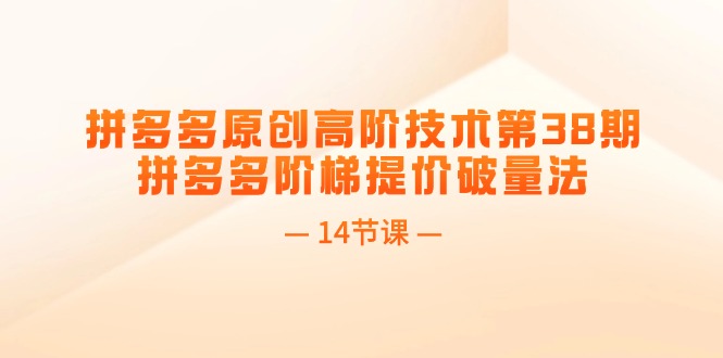 （11704期）拼多多原创高阶技术第38期，拼多多阶梯提价破量法（14节课）-九天资源站