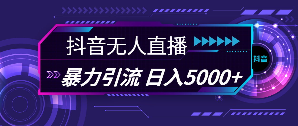 （11709期）抖音无人直播，暴利引流，日入5000+-九天资源站