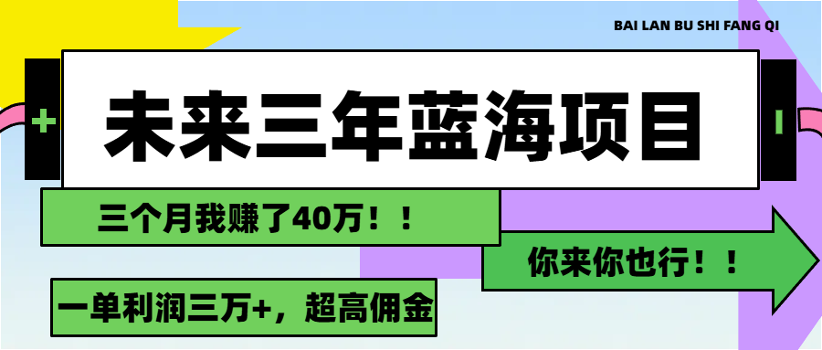 （11716期）未来三年，蓝海赛道，月入3万+-九天资源站