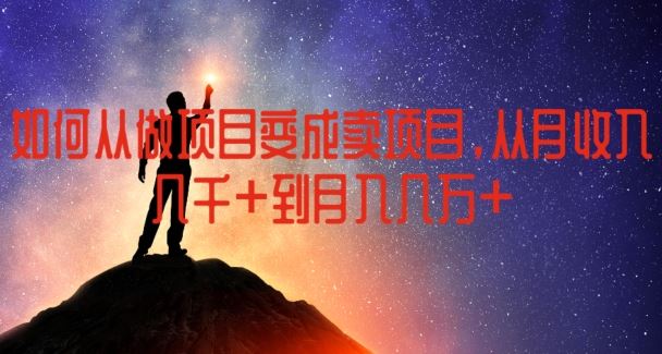 如何从做项目变成卖项目，从月收入几千到月入几万【揭秘】-九天资源站