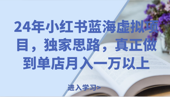 24年小红书蓝海虚拟项目，独家思路，真正做到单店月入一万以上。-九天资源站