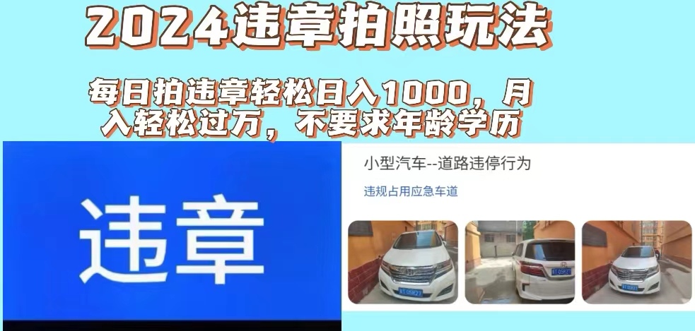 （11743期）2024违章拍照新玩法，推广躺赚+拍照赚钱双模式，日入1000+-九天资源站