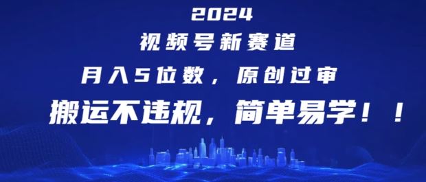 2024视频号新赛道，月入5位数+，原创过审，搬运不违规，简单易学【揭秘】-九天资源站