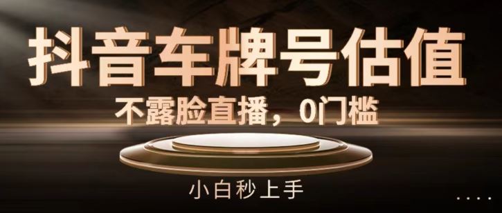 抖音车牌号估值，不露脸直播，0门槛，小白秒上手【揭秘】-九天资源站