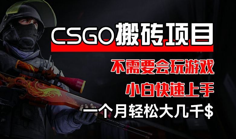 CSGO 装备搬砖项目，操作简单，不需要会玩游戏，小白也能快速上手，一个月轻松大几千【揭秘】-九天资源站