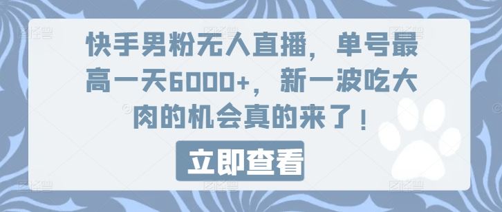 快手男粉无人直播，单号最高一天6000+，新一波吃大肉的机会真的来了-九天资源站