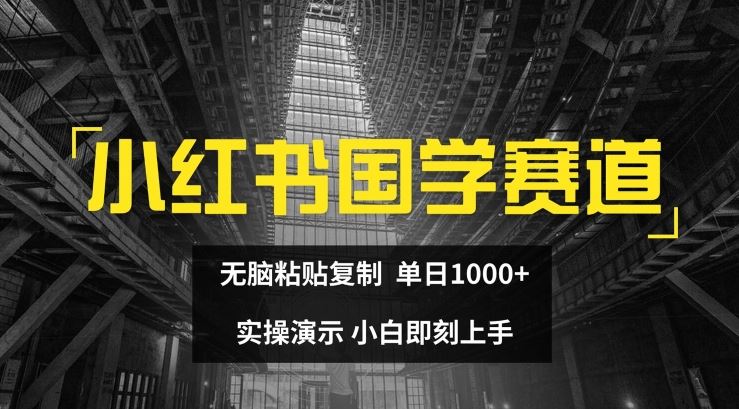 小红书国学赛道，无脑粘贴复制，单日1K，实操演示，小白即刻上手【揭秘】-九天资源站