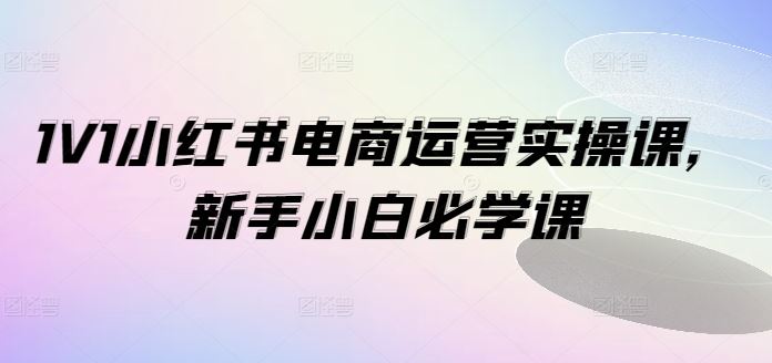 1V1小红书电商运营实操课，新手小白必学课-九天资源站