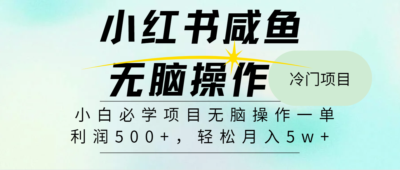 （11888期）2024最热门赚钱暴利手机操作项目，简单无脑操作，每单利润最少500-九天资源站
