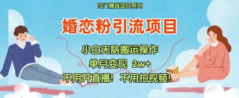 小红书婚恋粉引流，不用开直播，不用拍视频，不用做交付【揭秘】-九天资源站