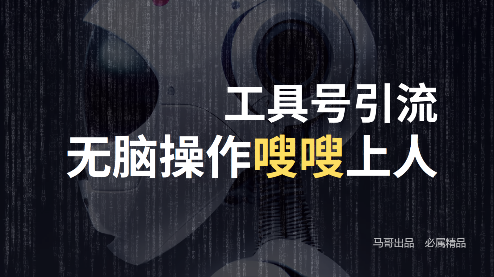 工具号高效引流法，嗖嗖上人，日引1000+，直接搬运，无脑操作-九天资源站
