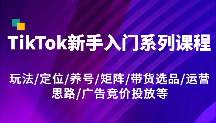 TikTok新手入门系列课程，玩法/定位/养号/矩阵/带货选品/运营思路/广告竞价投放等-九天资源站