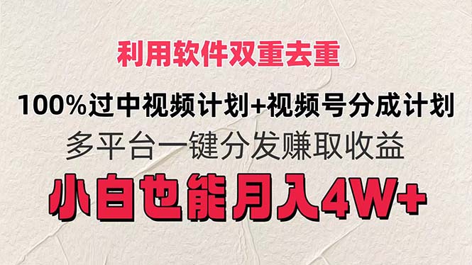 （11862期）利用软件双重去重，100%过中视频+视频号分成计划小白也可以月入4W+-九天资源站