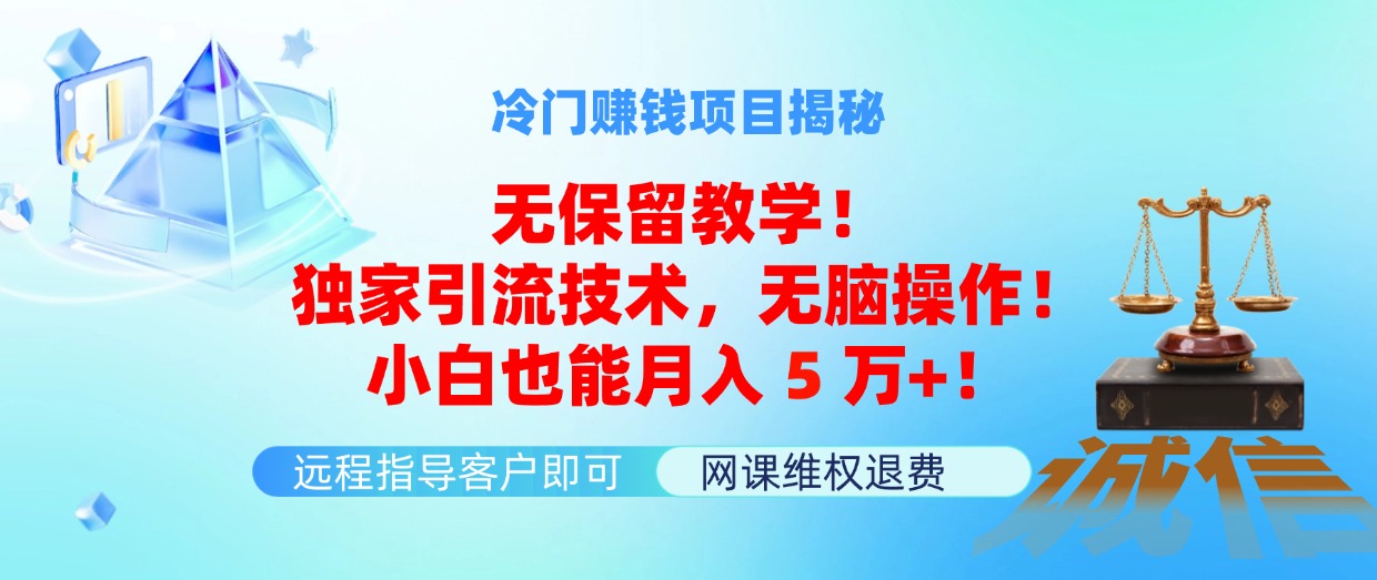 （11864期）冷门赚钱项目无保留教学！独家引流技术，无脑操作！小白也能月入5万+！-九天资源站