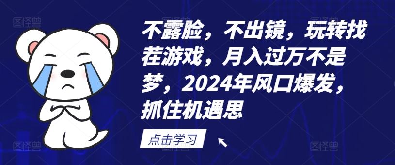 不露脸，不出镜，玩转找茬游戏，月入过万不是梦，2024年风口爆发，抓住机遇【揭秘】-九天资源站
