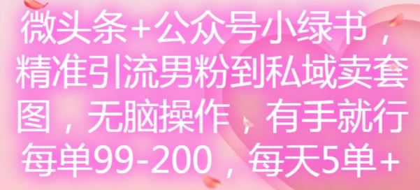 微头条+公众号小绿书，精准引流男粉到私域卖套图，无脑操作，有手就行，每单99-200，每天5单-九天资源站