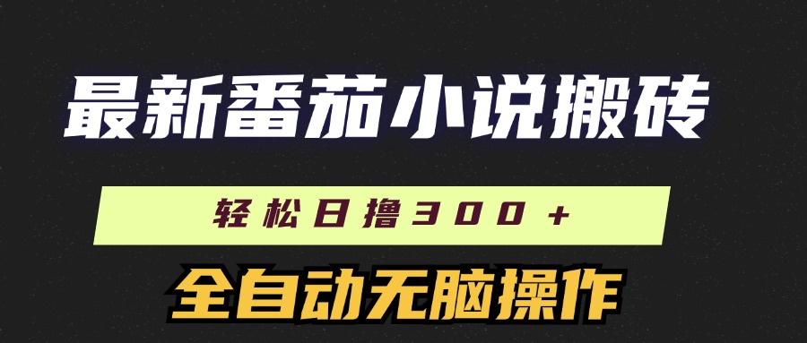 （11904期）最新番茄小说搬砖，日撸300＋！全自动操作，可矩阵放大-九天资源站
