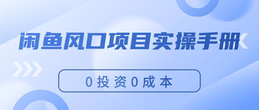 （11923期）闲鱼风口项目实操手册，0投资0成本，让你做到，月入过万，新手可做-九天资源站