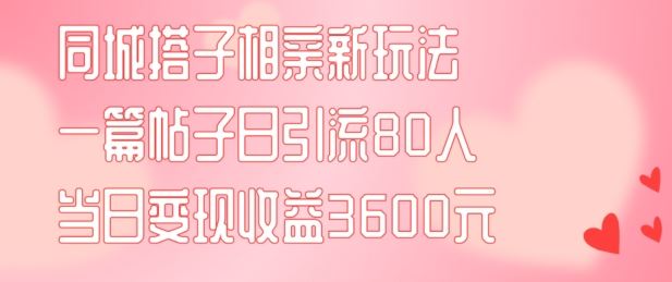 同城搭子相亲新玩法一篇帖子引流80人当日变现3600元(项目教程+实操教程)【揭秘】-九天资源站