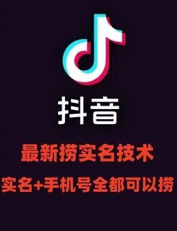 最新技术抖音捞实名+捞手机号技术，抖音直播封禁释放十名/手机号，直接替换出来!-九天资源站