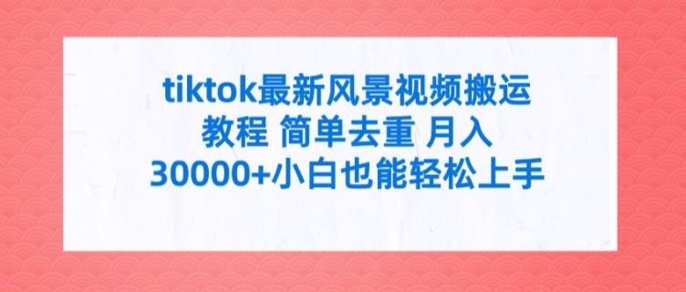 tiktok最新风景视频搬运教程 简单去重 月入3W+小白也能轻松上手【揭秘】-九天资源站